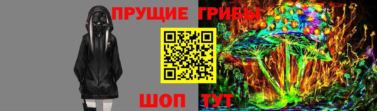 Галлюциногенные грибы GOLDEN TEACHER  Вход с VPN  Владимир 